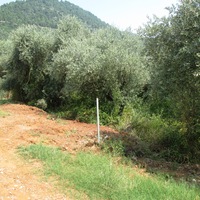 Island in Greece, Thasos, 195 sq.m.