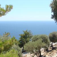 Island in Greece, Thasos, 30000 sq.m.