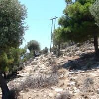 Island in Greece, Thasos, 30000 sq.m.