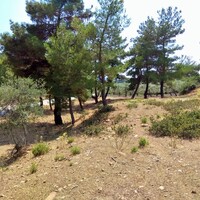 Island in Greece, Thasos, 1800 sq.m.