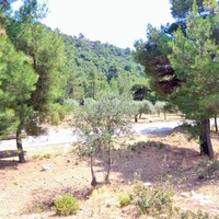 Island in Greece, Thasos, 1800 sq.m.