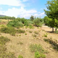 Island in Greece, Thasos, 1800 sq.m.