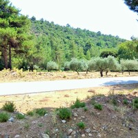 Island in Greece, Thasos, 1800 sq.m.