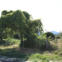 Island in Greece, Thasos, 1000 sq.m.