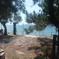 Остров в Греции, Тасос, 250 кв.м.
