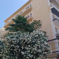 Квартира в Греции, Аттика, 37 кв.м.