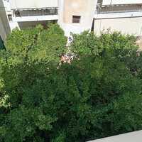 Flat in Greece, Attica, Attiki, 101 sq.m.