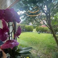 Апартаменты в Турции, Стамбул, 450 кв.м.