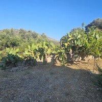 Villa in Greece, Crete, 380 sq.m.