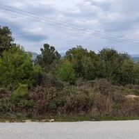 Island in Greece, 6314 sq.m.
