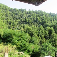 Other in Greece, Thasos, 84 sq.m.