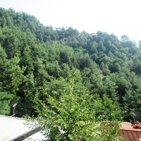 Other in Greece, Thasos, 84 sq.m.