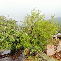Other in Greece, Thasos, 415 sq.m.