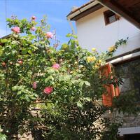 Other in Greece, Thasos, 153 sq.m.