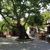 Other in Greece, Thasos, 153 sq.m.