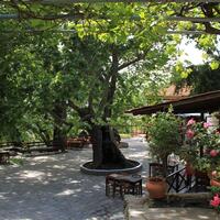 Other in Greece, Thasos, 153 sq.m.