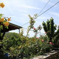 Other in Greece, Thasos, 153 sq.m.