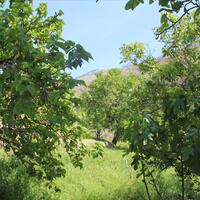 Other in Greece, Thasos, 153 sq.m.