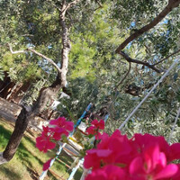 Aparthotel in Greece, Thasos, 188 sq.m.