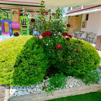 Aparthotel in Greece, Thasos, 481 sq.m.