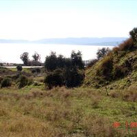 Island in Greece, Thessaloniki, 7000 sq.m.