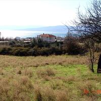 Island in Greece, Thessaloniki, 7000 sq.m.