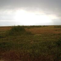 Island in Greece, Thessaloniki, 10000 sq.m.