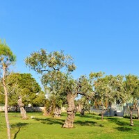 Residential complex in Greece, Thasos, 410 sq.m.