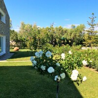 Residential complex in Greece, Thasos, 410 sq.m.