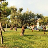 Residential complex in Greece, Thasos, 410 sq.m.