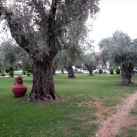 Aparthotel in Greece, Thasos, 250 sq.m.