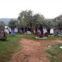 Aparthotel in Greece, Thasos, 250 sq.m.