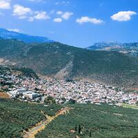 Other in Greece, Amfissa, 430 sq.m.