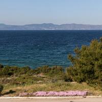 Other in Greece, Malesina, 400 sq.m.
