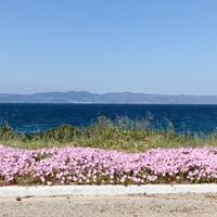 Other in Greece, Malesina, 400 sq.m.