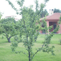 Other in Greece, Kamena Vourla, 170 sq.m.