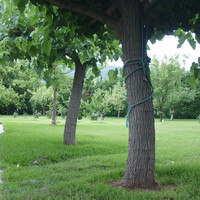 Other in Greece, Kamena Vourla, 170 sq.m.