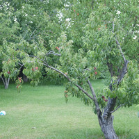 Other in Greece, Kamena Vourla, 170 sq.m.