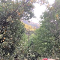 Другое в Греции, Эпир, Igoumenitsa, 80 кв.м.