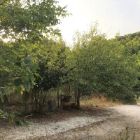 Другое в Греции, Эпир, Igoumenitsa, 80 кв.м.