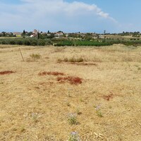 Island in Greece, Nea Irakleia, 468 sq.m.