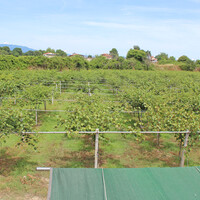 Other commercial property in Greece, Katerini, 120 sq.m.