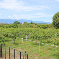 Other commercial property in Greece, Katerini, 120 sq.m.