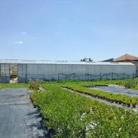 Business center in Greece, 4800 sq.m.