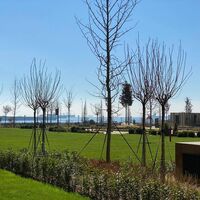 Apartment in Turkey, Istanbul