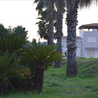 Villa in Greece, 1200 sq.m.