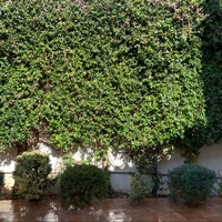 Villa in Greece, Attica, Attiki, 298 sq.m.