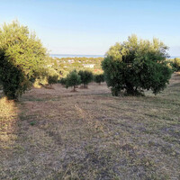Остров в Греции, Пелопоннес, 6253 кв.м.