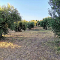 Остров в Греции, Пелопоннес, 6253 кв.м.