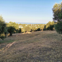 Остров в Греции, Пелопоннес, 6253 кв.м.